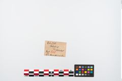 Etikett zu Bernsteinperlenkette (NHMW-PRAE-024550)